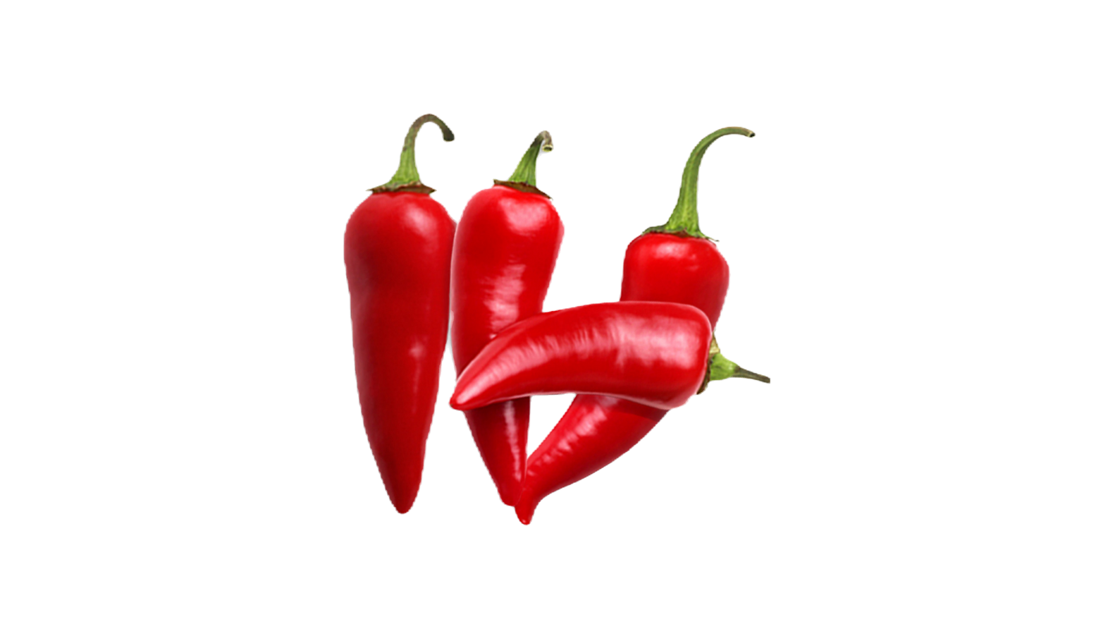 chilli